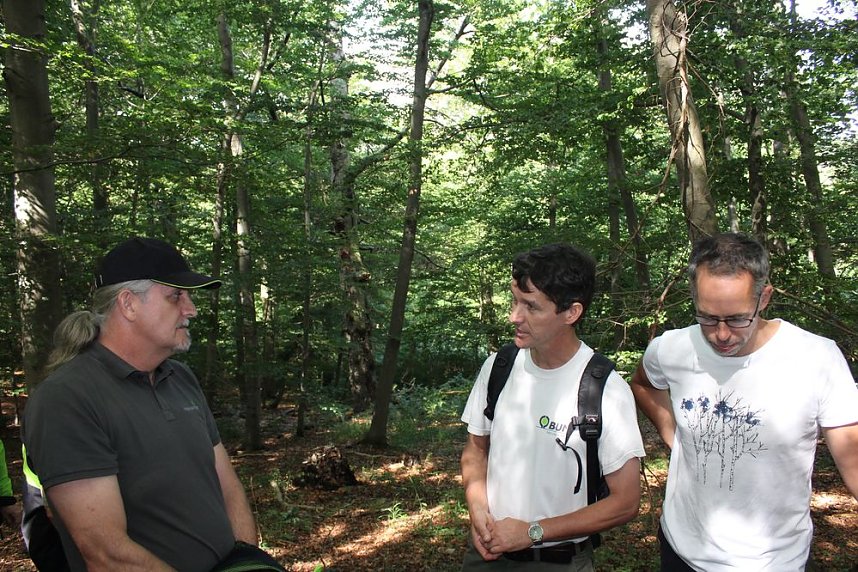 Waldbegehung mit Siegesmund und Kieling