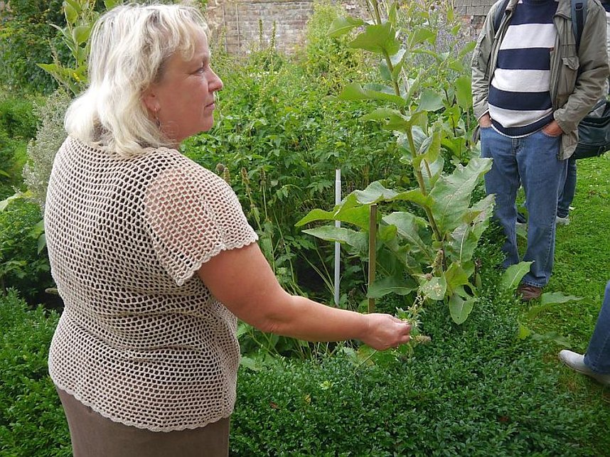 Kr&auml;uterf&uuml;hrung und Konzert