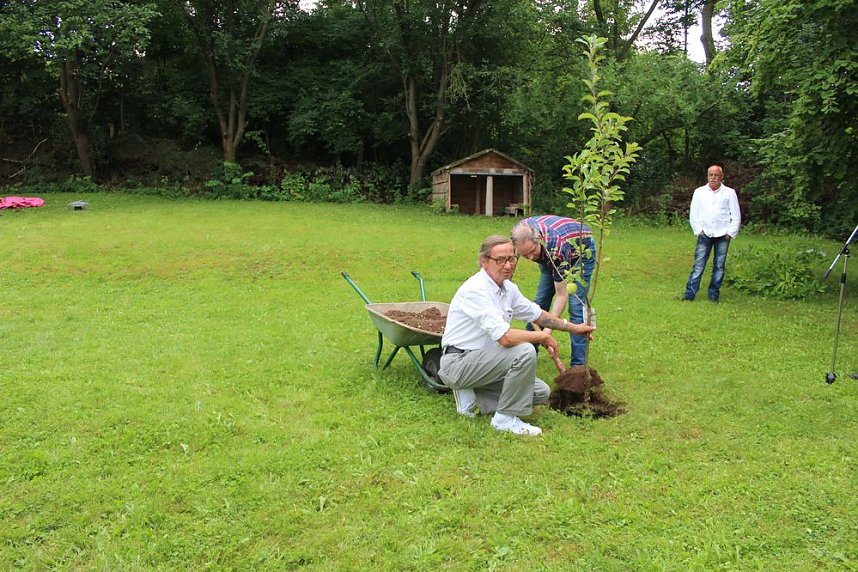 Der Apfel bleibt dran!