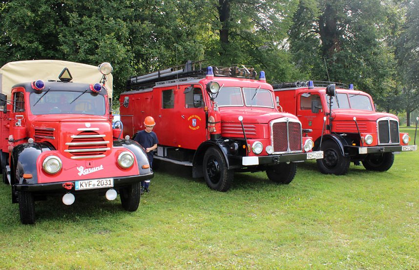 Aus Abrisshaus gerettet