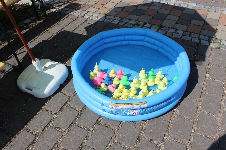 Falkner sorgte f&uuml;r Auflauf