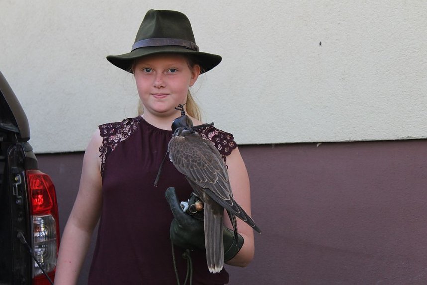 Falkner sorgte f&uuml;r Auflauf