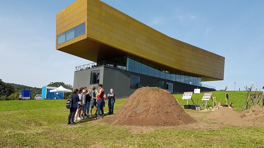 K&ouml;hlertage an der Arche Nebra
