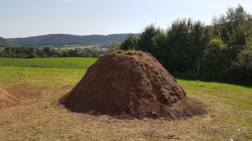 K&ouml;hlertage an der Arche Nebra