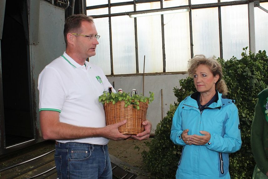 Start der Hopfenernte in Gro&szlig;enehrich