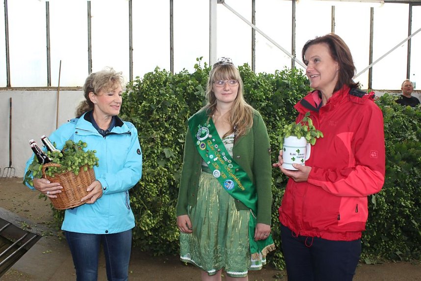 Start der Hopfenernte in Gro&szlig;enehrich