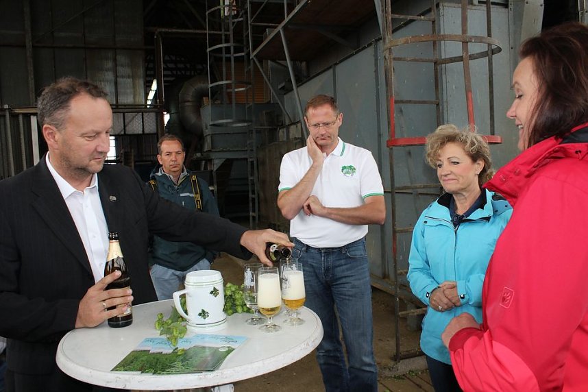 Start der Hopfenernte in Gro&szlig;enehrich