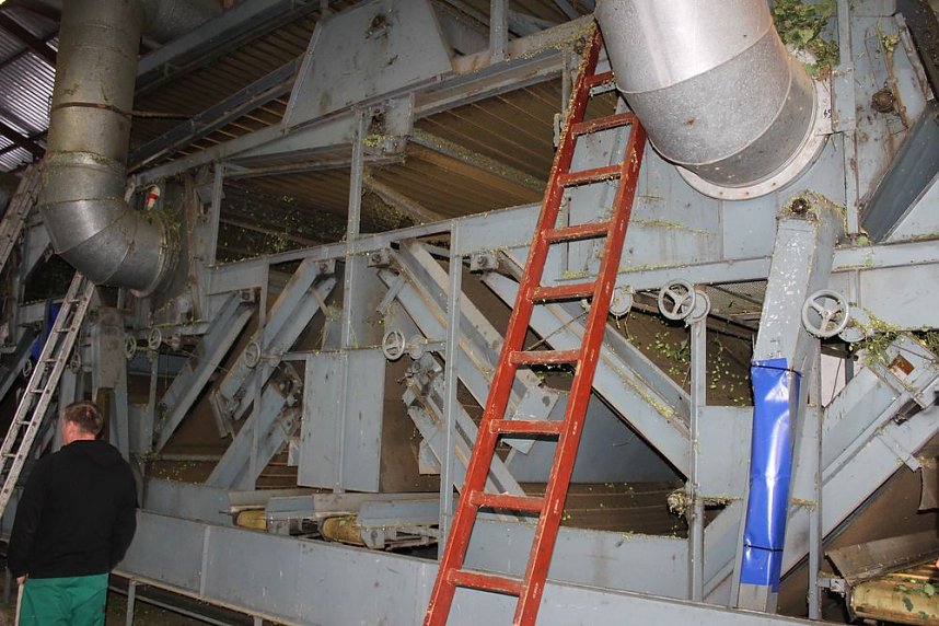 Start der Hopfenernte in Gro&szlig;enehrich