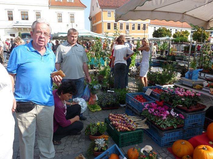 Planzenmarkt in Sondershausen
