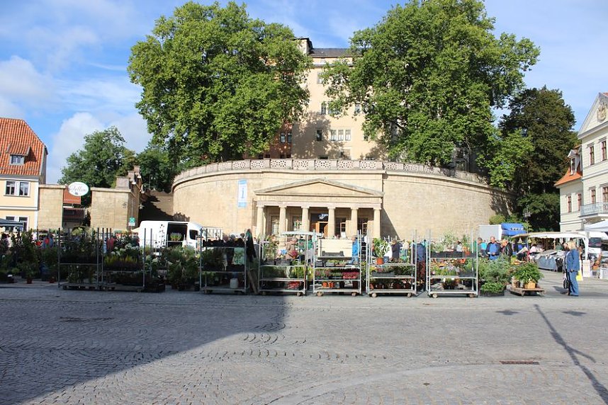 Pflanzenmarkt in Sondershausen