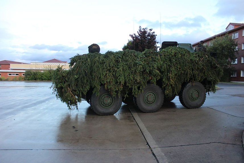 Kommandowechsel beim Panzerbataillon 393 "Th&uuml;ringer L&ouml;we"
