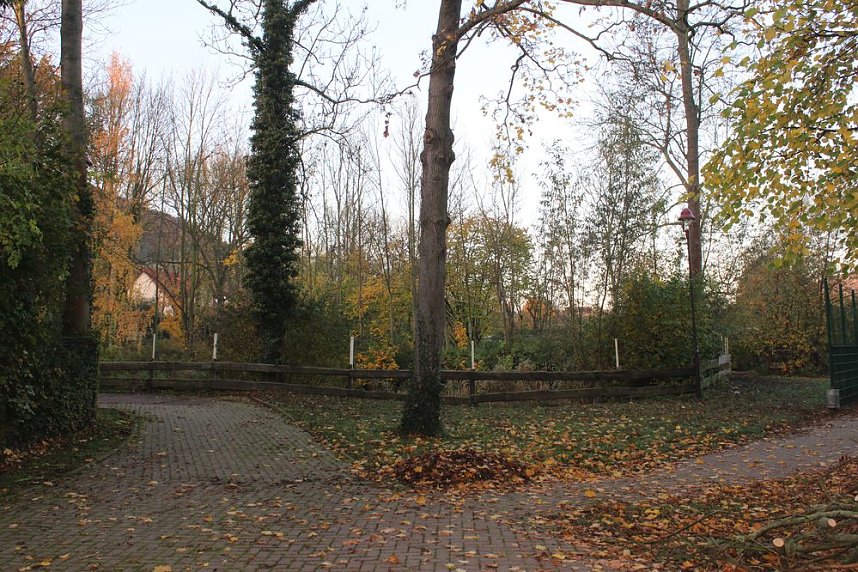 Teichprojekt an der Franzbergschule