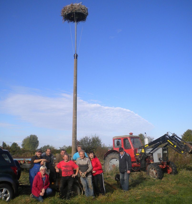 Neue Storchennester in Seehausen