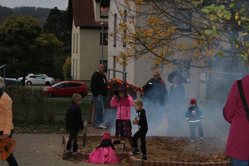 Halloween im K&auml;ferland