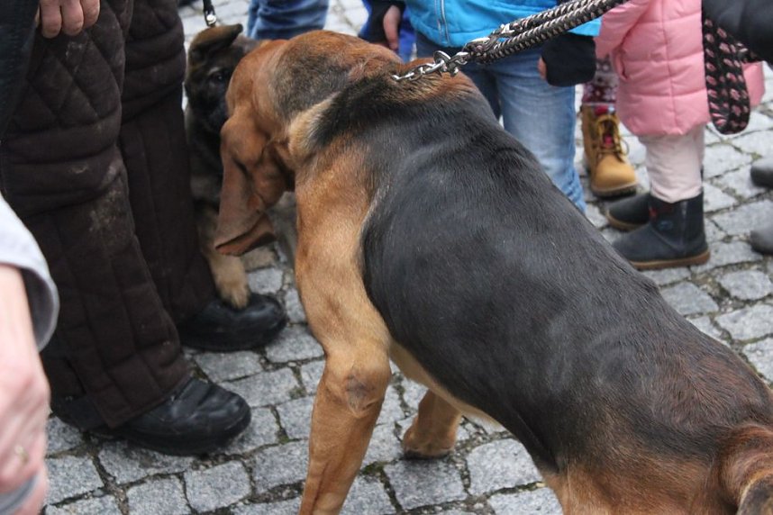  130 Jahre alt und trotzdem jung!