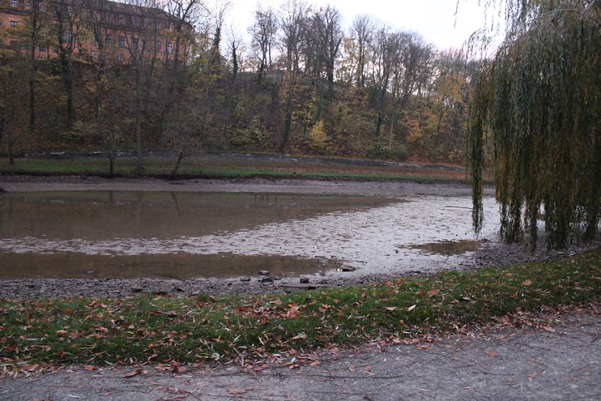 Was ist mit dem Teich passiert?