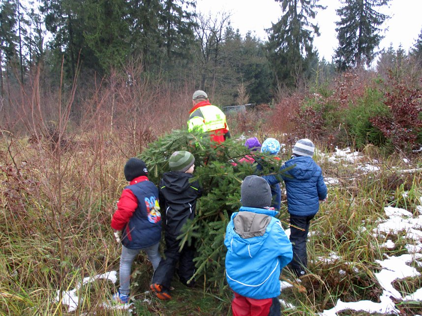 Ein Tannenbaum f&uuml;r unsere Kindervilla