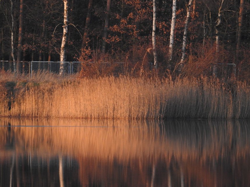 Mal ganz entspannt...