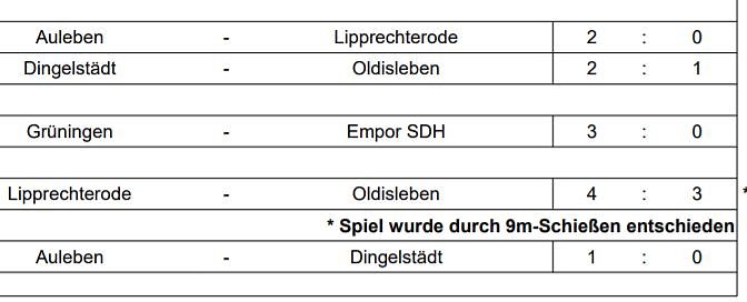 Aulebens Damen neuer Futsal Meister