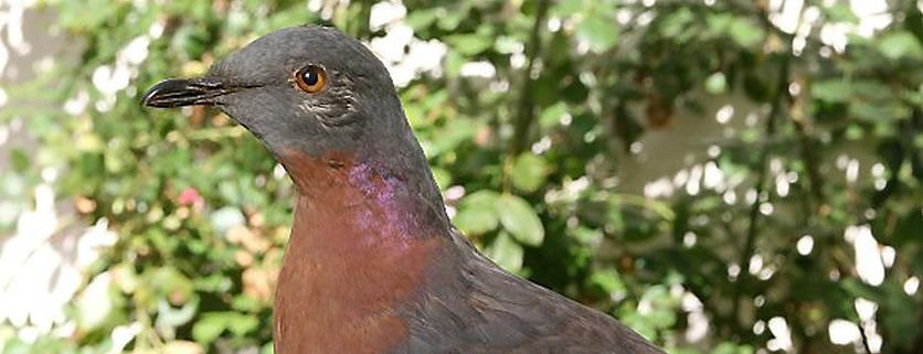 Goodbye forever oder: