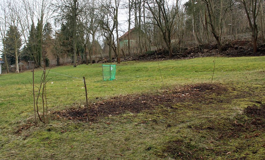 Ursprung des Corpus delicti besucht