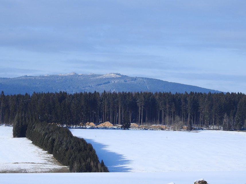 Peter Blei unterwegs im Harz