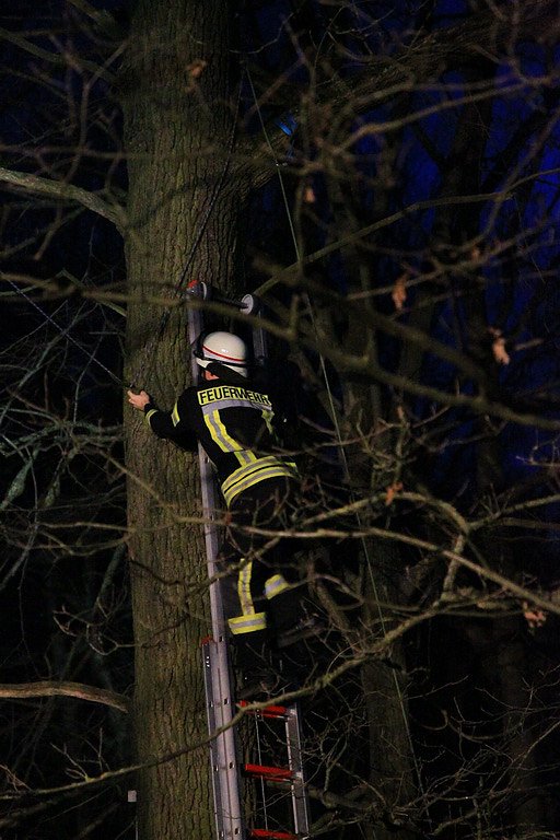 Gleitschirmflieger auf Baum