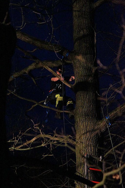 Gleitschirmflieger auf Baum