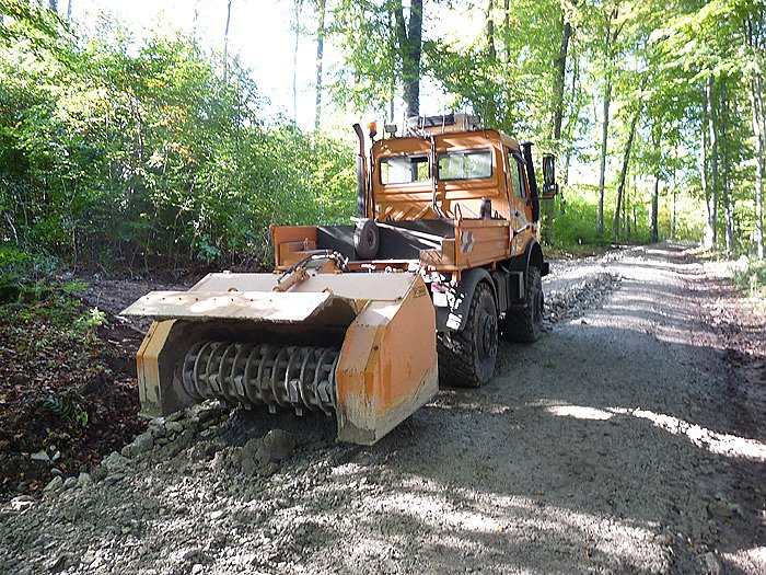 Forsttagung auf dem Possen