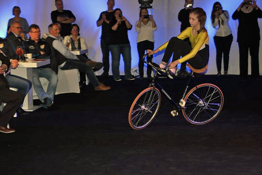 Schauprogramm, Ehrenamtspreise und mehr bei Sportgala