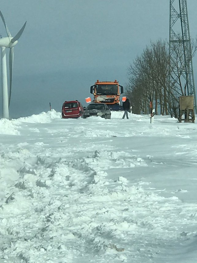 Und j&auml;hrlich gr&uuml;&szlig;t das Murmeltier!