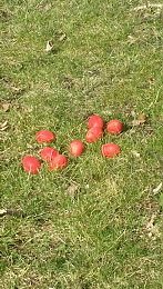 "Oh was ist hier passiert?