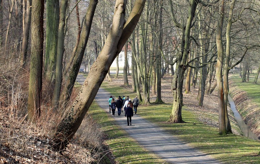 Auf dem Weg zum Olymp