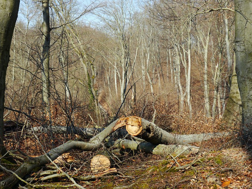 Osterspaziergang zum Spatenbergturm