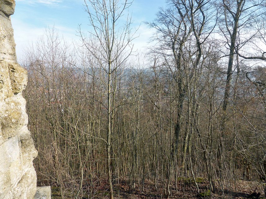 Osterspaziergang zum Spatenbergturm