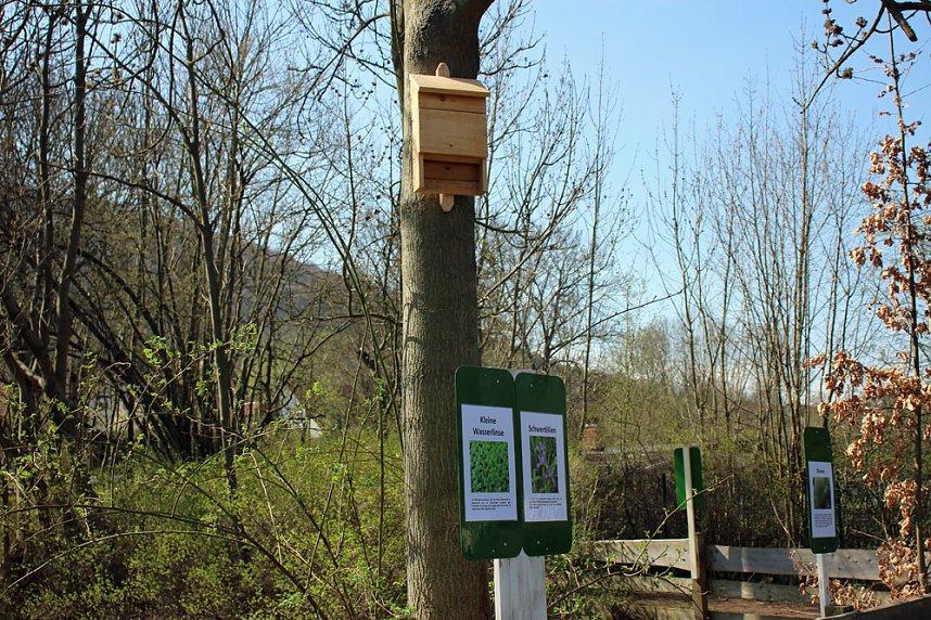 Mit Teichprojekt zur Titelverteidigung