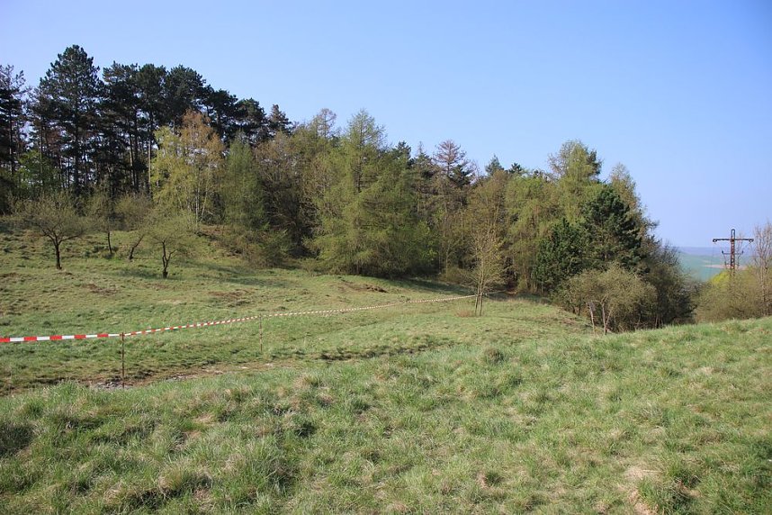 Tolles Kreisfinale beim Crosslauf