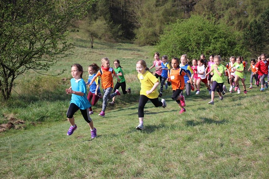 Tolles Kreisfinale beim Crosslauf