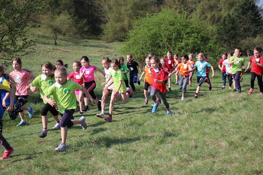 Tolles Kreisfinale beim Crosslauf