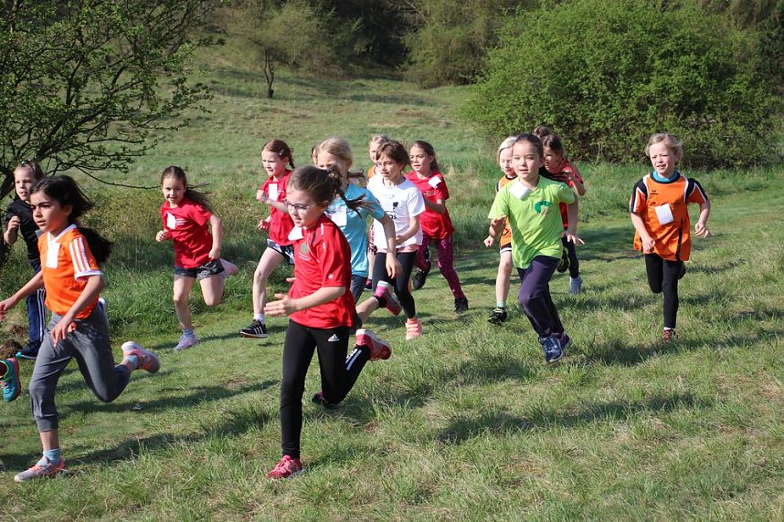 Tolles Kreisfinale beim Crosslauf