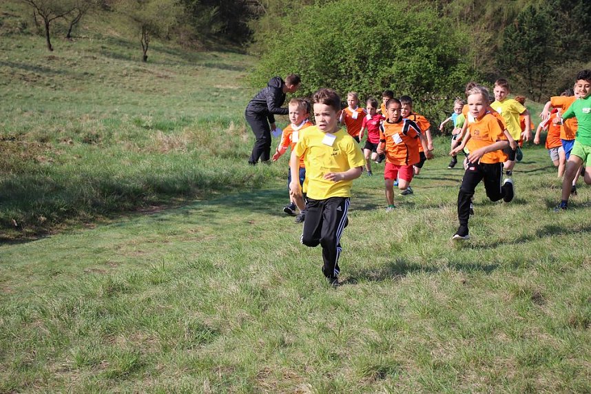 Tolles Kreisfinale beim Crosslauf