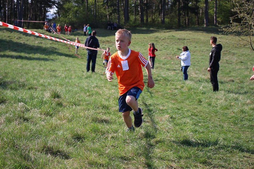 Tolles Kreisfinale beim Crosslauf