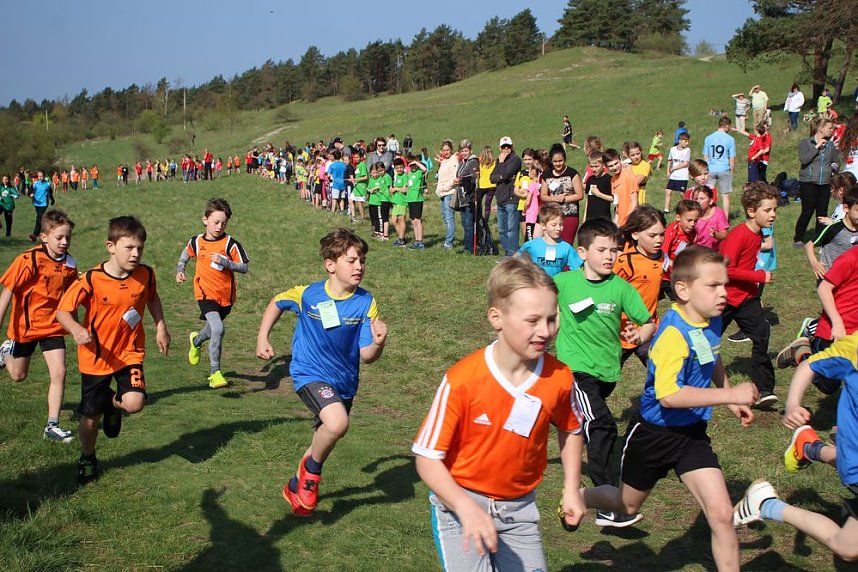 Tolles Kreisfinale beim Crosslauf