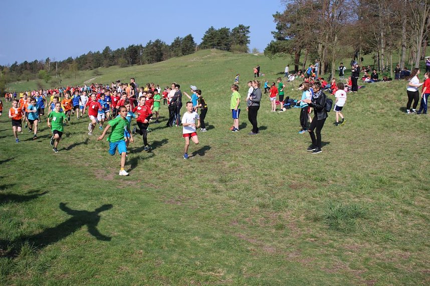 Tolles Kreisfinale beim Crosslauf