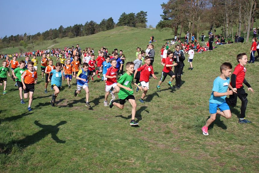 Tolles Kreisfinale beim Crosslauf