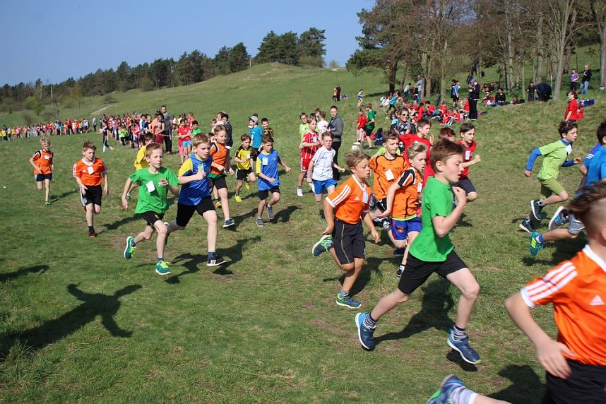 Tolles Kreisfinale beim Crosslauf