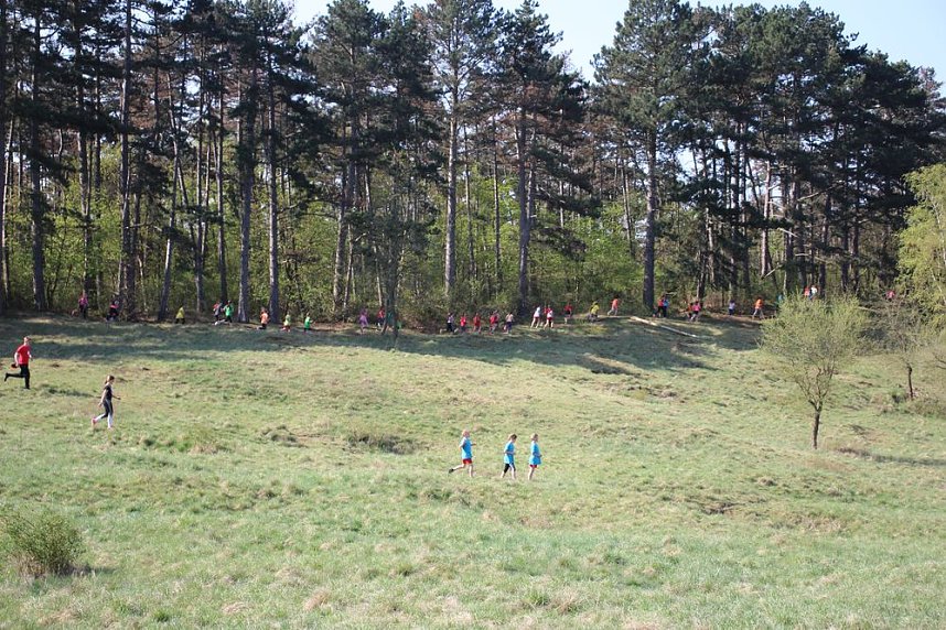 Tolles Kreisfinale beim Crosslauf
