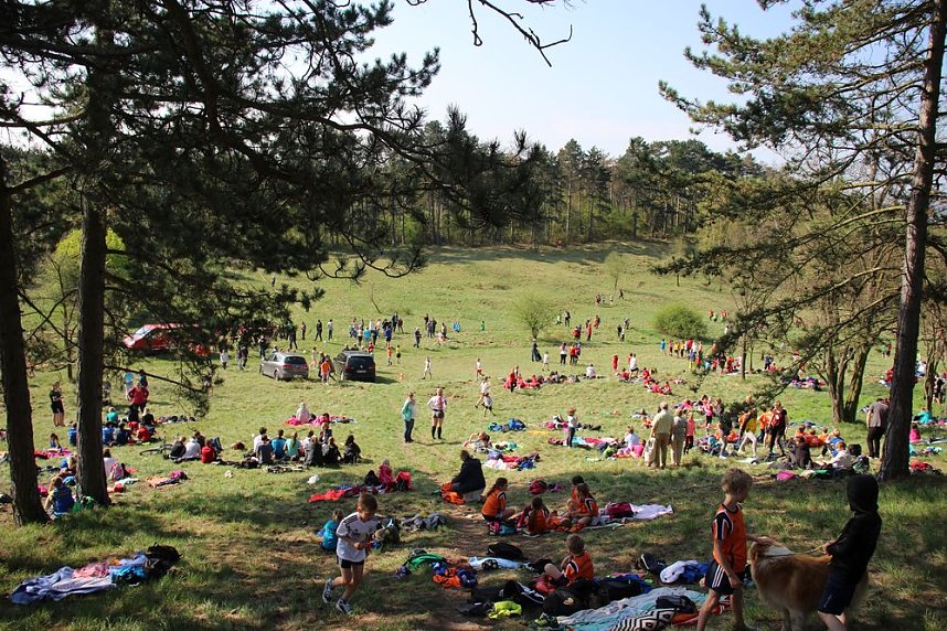 Tolles Kreisfinale beim Crosslauf