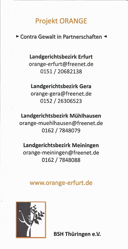 Netzwerkes gegen h&auml;usliche Gewalt tagte