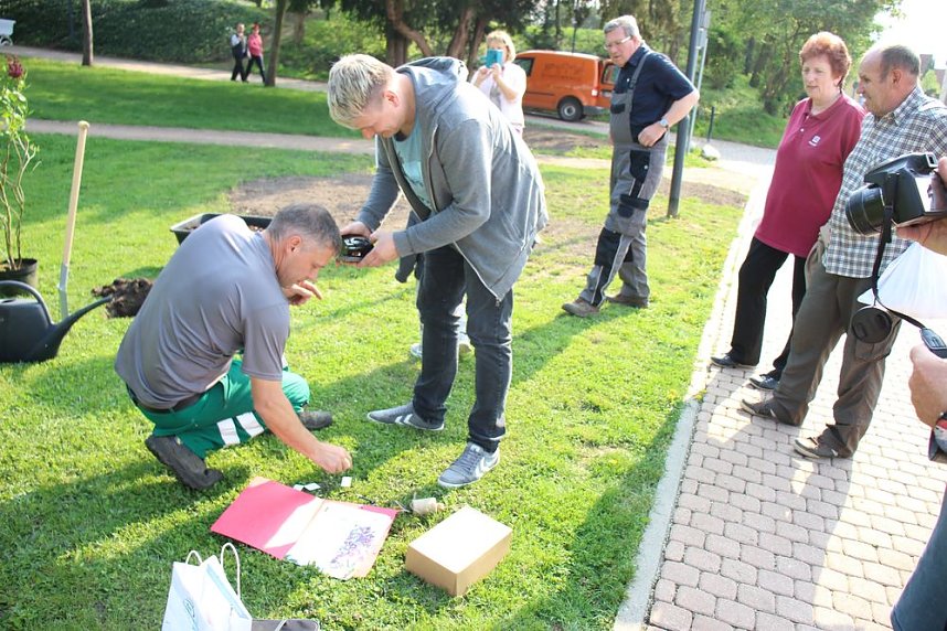 Gro&szlig;e Fliederbaumplanzaktion in Bad Frankenhausen